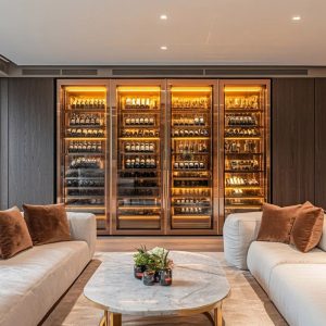 Customized commercial wine display cabinet with constant temperature control 01